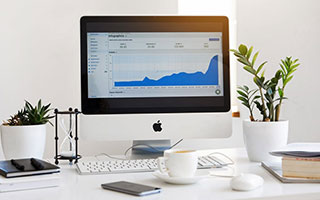 开云体育中国-国王完胜篮网B队，哈里斯高光表现引爆全场